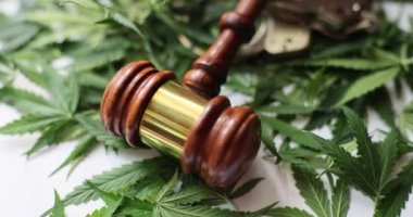 Yargıç Gavel marihuananın yeşil yapraklarının üzerinde yatıyor. Esrar yasal rejimi