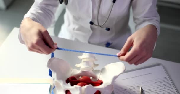 Gynecologist Doctor Measuring Thigh Bones Clinic Pelvic Floor Bones Age — Stock Video