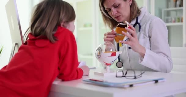Medico Oftalmologo Donna Mostra Struttura Anatomica Occhio Ragazza Bambino Clinica — Video Stock