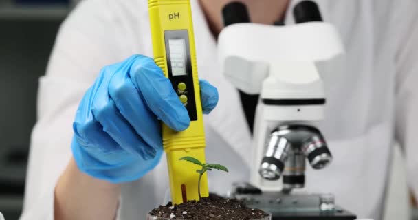 研究室での土壌Ph農業 土壌試料概念の研究 — ストック動画