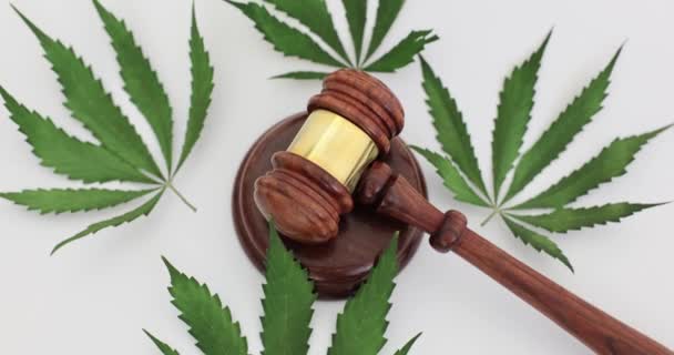 マリファナや大麻の葉に裁判官のガベルが付いています 医療とマリファナの合法化 — ストック動画