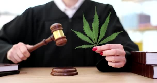 Δικαστής Πράσινα Φύλλα Μαριχουάνας Στα Χέρια Χτυπάει Σφυρί Στο Δικαστήριο — Αρχείο Βίντεο