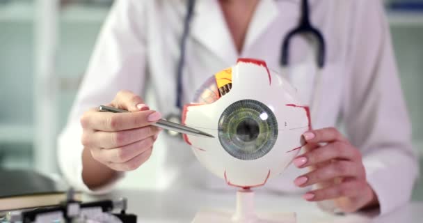 医師は眼の解剖学的モデルを示しています クローズアップ 眼科相談 医学教育 — ストック動画