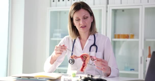 妇科医生说的是一个女性生殖系统 一个特写 不孕症治疗 解剖模型子宫 — 图库视频影像