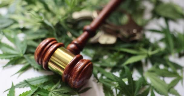 Yargıçlar Kelepçeler Kanabilerin Yeşil Yapraklarının Üzerinde Uyuşturucu Satışından Tutuklanma Yavaş — Stok video