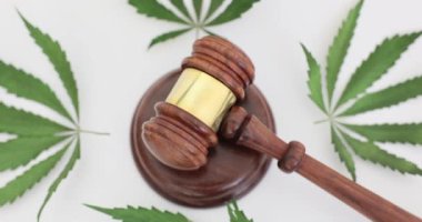 Yargıç ve yeşil marihuana yaprakları, yakın plan. Kanabilerin yasallaştırılması, uyuşturucu bağımlılığı kanunları