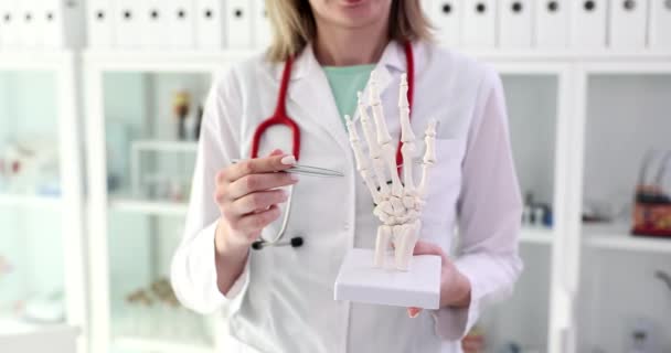 Médico Sostiene Modelo Anatómico Del Primer Plano Mano Consulta Ortopedista — Vídeo de stock