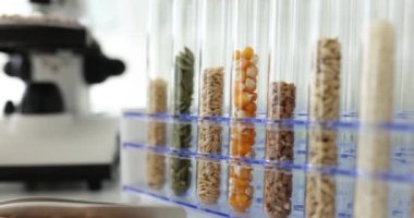 Çeşitli tahıl tohumları içeren test tüpleri laboratuvarda hazırlandı. Biyoteknoloji ve genetik olarak nitel ve niceliksel belirleme