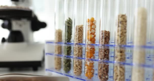Probówki Nasionami Różnych Zbóż Umieszczone Stoisku Laboratorium Biotechnologia Oraz Jakościowe — Wideo stockowe
