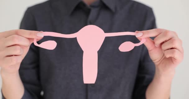 Mujer Con Concepto Salud Uterina Planificación Del Embarazo Salud Ginecología — Vídeos de Stock