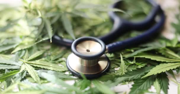 Foglie Cannabis Verde Con Stetoscopio Farmaco Medicina Cannabis — Video Stock
