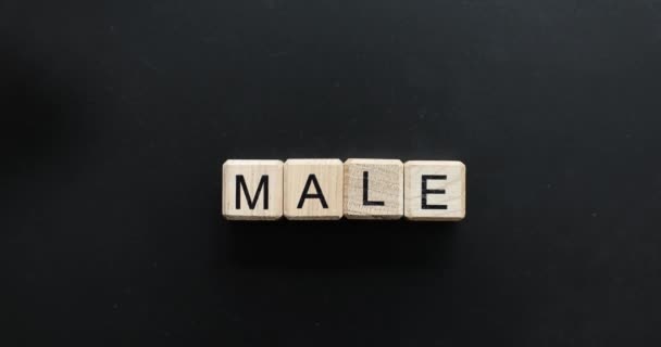 木块上的男字和女字反对 女人是男人的笑柄 — 图库视频影像