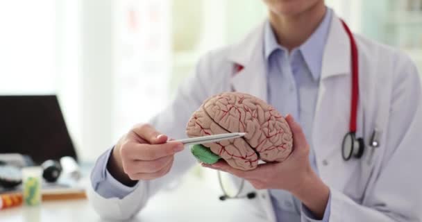 医師はヒト脳閉鎖の人工モデルを保持しています 認知症症候群は有機脳損傷を起こし — ストック動画
