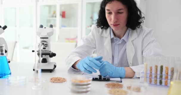 Cientista Laboratório Realiza Experimentos Com Grãos Milho Cereais Geneticamente Modificados — Vídeo de Stock