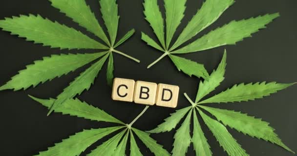 Marihuana Voor Medische Doeleinden Tekst Cbd Blokjes Psychoactieve Drug Afgeleid — Stockvideo