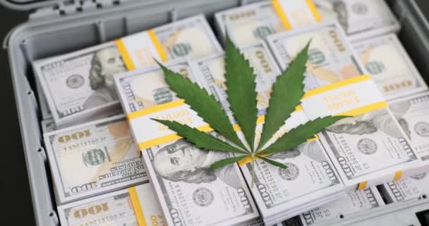 Εκατομμύρια Δολάρια Και Φύλλα Πράσινης Μαριχουάνας Περίπτωση Οικονομικά Οφέλη Από — Αρχείο Βίντεο