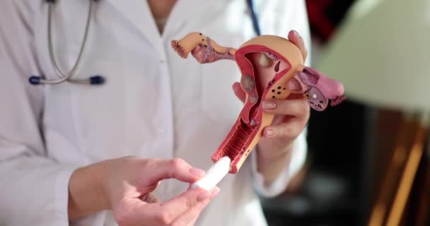 Żeński Ginekolog Posiada Anatomiczny Model Macicy Jajnikami Higienicznym Tamponem Bezpieczne — Wideo stockowe