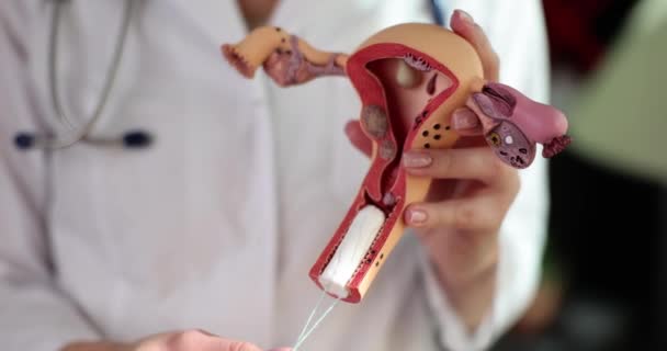 Doctor Medical Uniform Shows Tampon Female Pelvis Model Reproductive Organs — Stock Video