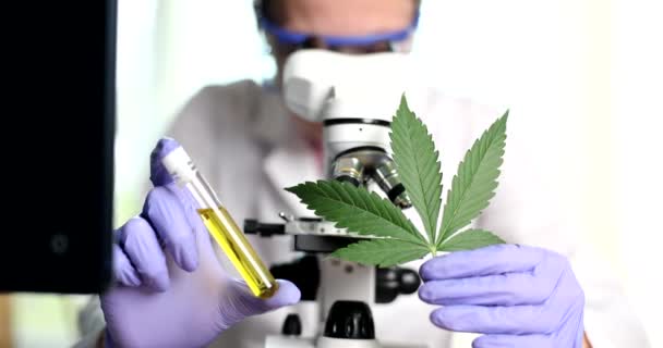 Médico Qualificado Examina Folha Cannabis Verde Através Microscópio Processo Preparação — Vídeo de Stock