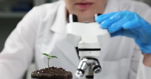 Explorador Uniforme Olhando Para Pequena Planta Através Microscópio Mulher Cresce — Vídeo de Stock