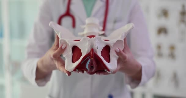 Doutor Uniforme Médico Mostra Pelve Saudável Feminina Com Órgãos Reprodutivos — Vídeo de Stock
