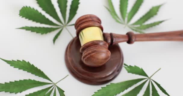 Gavel法官用木制音块包裹着绿色的大麻叶法庭对非法大麻药物消费的判决 — 图库视频影像