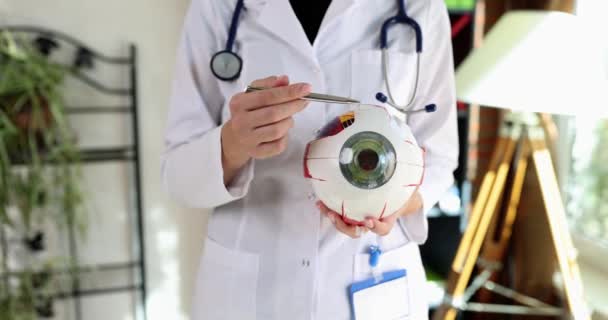 医者はペンとモデルを使って眼球の一部について話します 研究室のコートの先生は 病院のオフィスに立ってレッスンを行い 人間の眼球運動のレイアウトを保持します — ストック動画