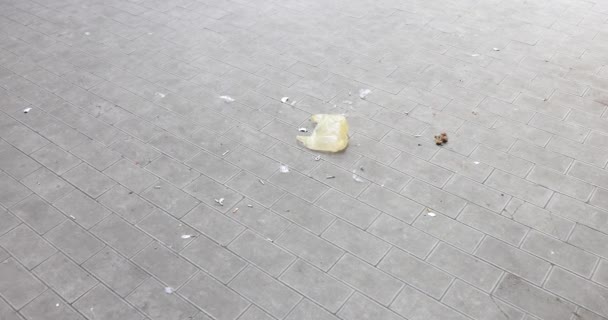 Легкий Вітер Дме Порожній Пластиковий Пакет Викинутий Вуличний Тротуар Жовтий — стокове відео