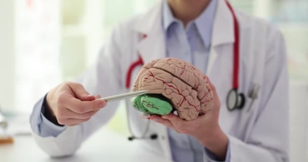 Мозговой Хирург Невролог Объясняющий Структуру Мозга Пациенту Заболевания Мозга Энцефалопатия — стоковое видео