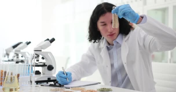 Agrônomo Científico Verifica Qualidade Das Sementes Culturas Laboratório Trigo Geneticamente — Vídeo de Stock
