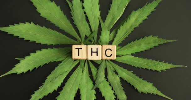 Marihuana Pro Lékařské Účely Textová Thc Kostkách Tetrahydrokanabinol Psychotropní Látka — Stock video