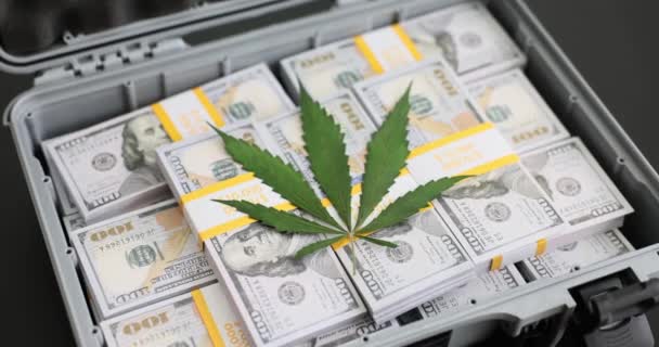 Případ Dolary Zeleným Listem Marihuany Legalizace Konopí Multi Miliardový Obchod — Stock video