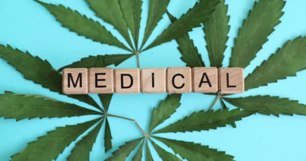 Gröna Cannabisblad Med Text Medicinsk Närbild Medicinsk Cannabis Eller Marijuana — Stockvideo