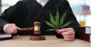 Elinde marihuana yaprağı olan bir yargıç mahkeme salonunda tokmakla kapıyı çalar. Esrar kaçakçılığı cezaları