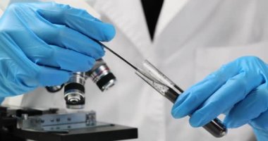 Laboratuvarda kimyasal analiz için toprak örneği. Toprak ve toprağın kimyasal analizi