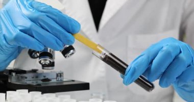 Toprak laboratuvar analizi uzmanı, toprak örneğinin pH 'ını turnusol şeritleriyle ölçüyor. Agrokimyasal toprak araştırması