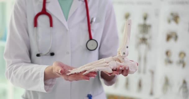 整形外科医は足首の足の骨格を見ています 足や足の病気 — ストック動画