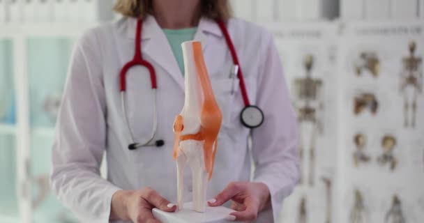 医者は医療室で人工膝関節のモデルを示しています 膝関節のメニスカスへの損傷 — ストック動画