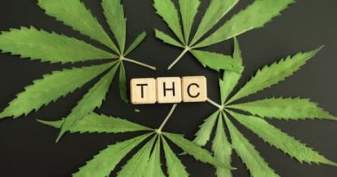 Kara masanın üzerinde taze kenevir yapraklarıyla çevrili ahşap küplerden oluşan THC kısaltması. Marihuana bitkisinde bulunan kimyasal madde.