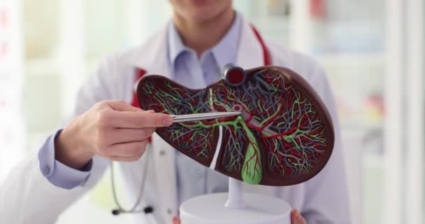 Доктор Роботі Рівномірних Точок Ручки Печінки Тримає Модель Руці Клінічному — стокове відео