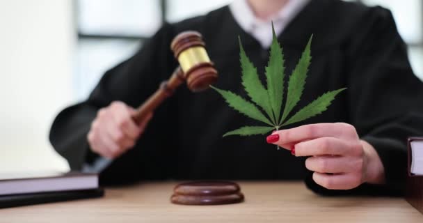 女性裁判官は新鮮な大麻の葉を保持する木製の砂利でノックします 刑事麻薬の売人の裁判と判決 緑のマリファナ植物 — ストック動画