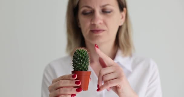 Blondynka Dotyka Zielonych Kolców Kaktusa Palcem Wskazującym Odczuwającym Ból Lekkiej — Wideo stockowe