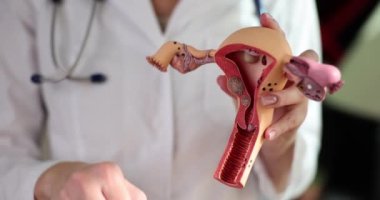 Jinekolog tampon ve yapay rahim modelini elinde tutuyor. Kadınlar okulda adet öncesi pamuk ürünlerinin yavaş çekimde kullanıldığını gösteriyor.