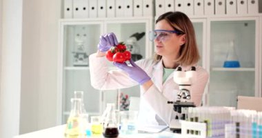 Gözlüklü kadın kimyager modern ofiste kırmızı domatesleri tutuyor ve inceliyor. Kadın kişi olgun sebzelerin kalitesini ve hasarını yavaş çekimde kontrol ediyor.