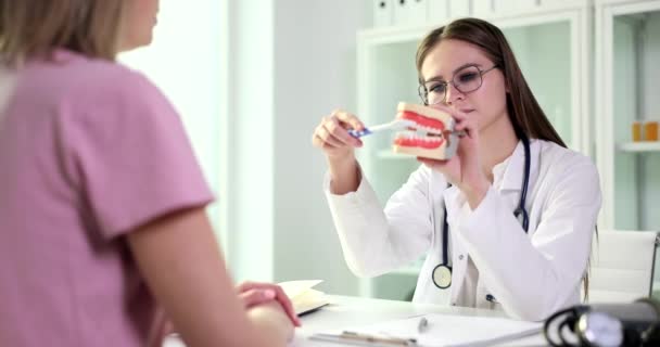 Zahnärztin Zeigt Client Korrekte Technik Des Zähneputzens Auf Zahnmodell Sitzt — Stockvideo