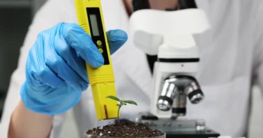 Bilim adamı, ofisteki laboratuvar PH-metre cihazını kullanarak konteynerdeki toprak asitliliğini inceliyor. Uzman, mikroskobun yanında ağır çekimde oturur.