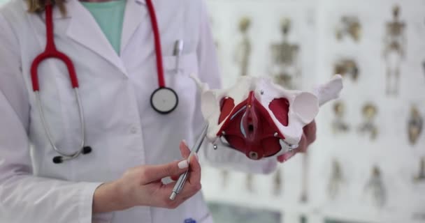 Médica Trabalho Pontos Uniformes Com Caneta Para Esqueleto Ossos Pelve — Vídeo de Stock