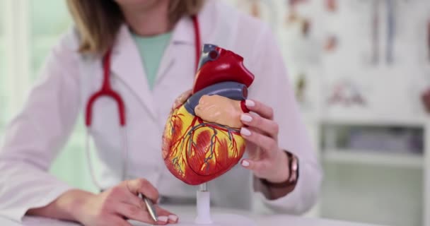 女性医師は 人間の心臓の人工的なモデルをオンと表示します 光クリニックオフィスにおけるヒト臓器の詳細構造スローモーション — ストック動画