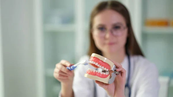 Врач Показывает Искусственную Модель Челюсти Зубной Щетки Человека Предотвращения Кариеса — стоковое фото