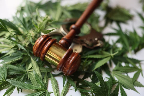 Richtergabel Und Handschellen Die Auf Grünen Marihuana Blättern Liegen Großaufnahme — Stockfoto